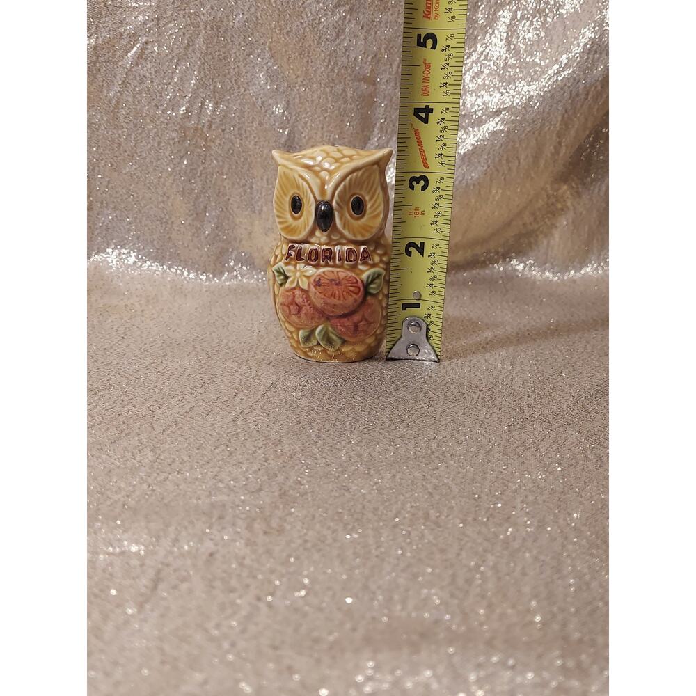 (1) Vintage Salt Shaker Florida Souvenir Ceramic Owl Replacement Piece - Picture 7 of 7